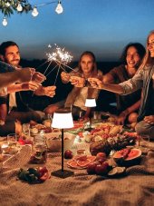 Immax 08492L BONITO stolní svítidlo LED 4W 200lm 3000-6000K IP 44, bílá, černá, solární panel, stmívatelná