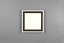 TRIO Reality R67213332 CARUS stropné svietidlo SMD LED 330x330mm 16W/2300lm 8,5W/1300lm 3000K čierna matná, biela