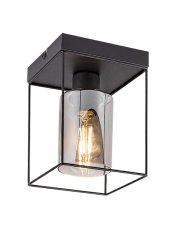 RABALUX 71031 Chadwick stropní svítidlo 1xE27 černá, kouřová