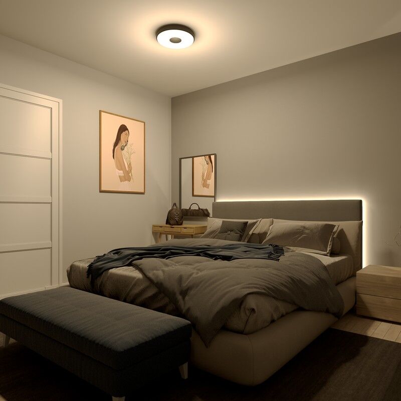 Philips 8720169301290 Coiner stropné svietidlo D389mm LED 24W/2700lm 2700K čierna, SceneSwitch