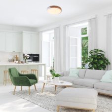 RABALUX 3527 Maple stropní svítidlo LED D415mm 24W/1760lm 3000K matná bílá, dřevo