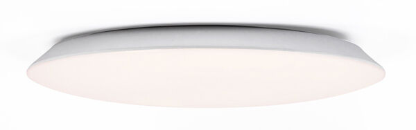 RABALUX 71125 Rorik stropní svítidlo LED D480mm 45W/3930lm 4000K bílá