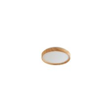 RABALUX 71143 LEANA2 stropné svietidlo LED D260mm 12W/730lm 3000K buk, starlight efekt