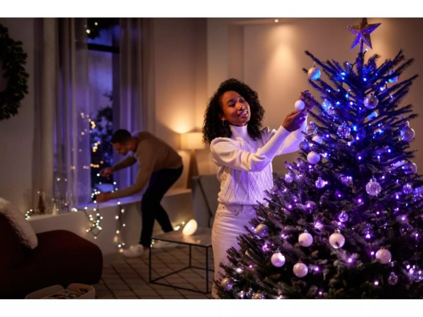 8720169246867 PHILIPS HUE White and Color Ambiance Festavia string lights - vianočná svetelná reťaz 500 LED 2x20m 2000-6500K+RGB IP44/IP54 čierna