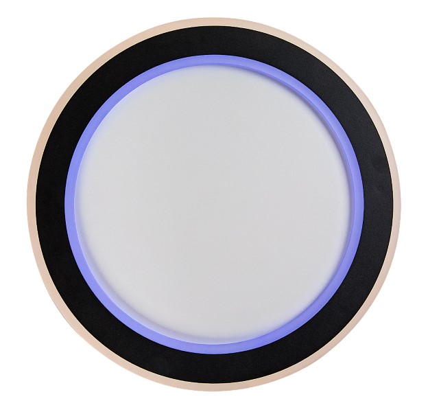 RABALUX 71406 Golwen stropní svítidlo D450mm LED 22W/1550lm 3000-6500K černá, bílá, stmívatelné, dálkový ovladač