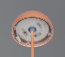 TRIO Reality R55601140 ORTIZ dotyková stolná lampička v200mm SMD LED 2W/150lm 3000K IP44 marhuľová, ON/OFF