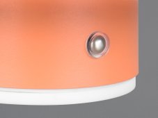 TRIO Reality R24431140 DAVEY dotykové nástěnné svítidlo SMD LED 1,5W/140lm 3000K meruňková, nabíjecí baterie, USB kabel