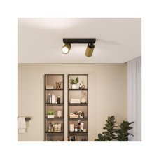 Philips 8720169299191 Idris stropní bodové svítidlo/spot 2xGU10 IP44 černá, zlatá, ClickFix