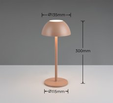 TRIO Reality R54106165 RICARDO dotyková stolná lampička v300mm SMD LED 1,7W/240lm 3000K IP54 kávová