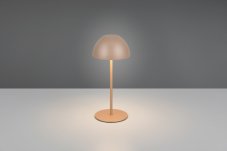 TRIO Reality R55601165 ORTIZ dotyková stolní lampička v200mm SMD LED 2W/150lm 3000K IP44 kávová, ON/OFF