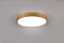 TRIO 641310208 DOHA stropní svítidloSMD LED D450mm 29W/3260lm 2300+3000+4000K mosaz