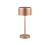 TRIO Reality R59151165 JEFF dotyková stolná lampička SMD LED V300mm 1,5W/120lm 3000K kávová, nabíjateľná batéria