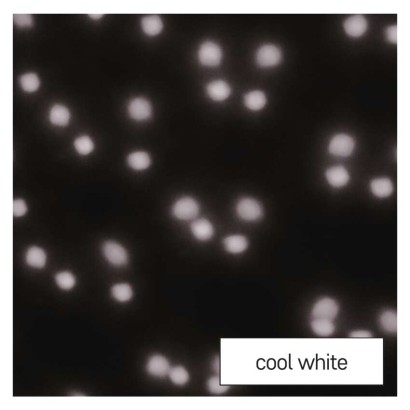 DCPC03 EMOS LED dekorativní projektor – padajíci vločky, IP44, bílá