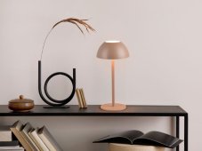 TRIO Reality R54106165 RICARDO dotyková stolní lampička v300mm SMD LED 1,7W/240lm 3000K IP54 kávová