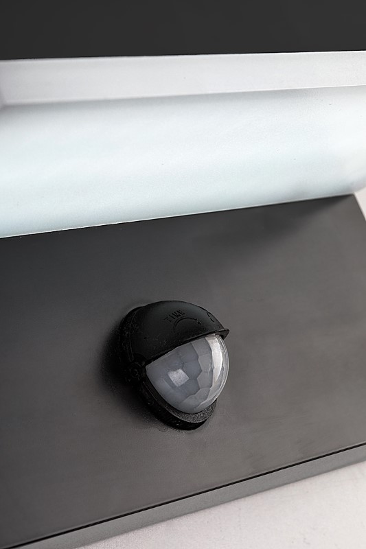 RABALUX 77115 Zaragoza vonkajšie nástenné svietidlo so senzorom LED 9W/800lm 2700+4000+6500K IP54 čierna