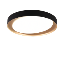 TRIO R62712402 ZETA stropní svítidlo LED D485mm 24W/1920lm 2700-6500K, černá, bílá, stmívatelné, dálkové ovládaní
