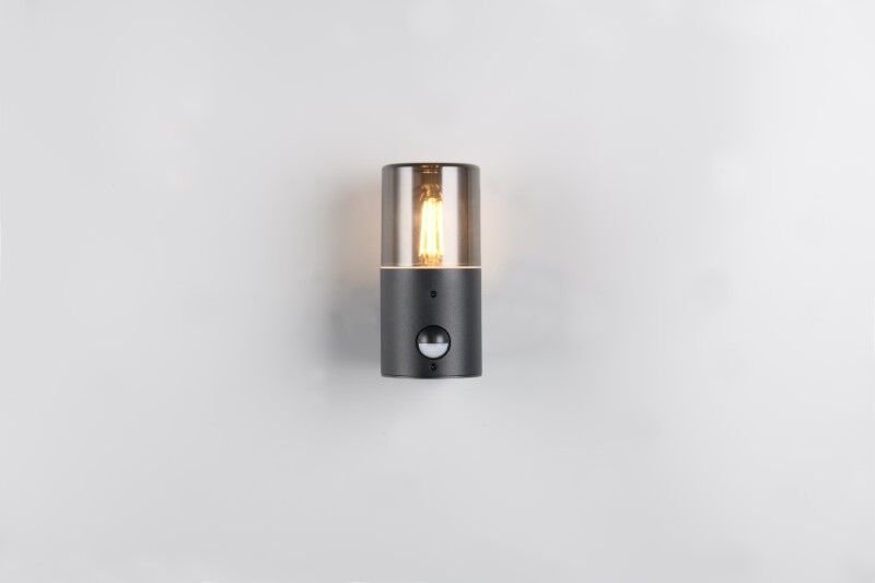 TRIO 222260132 HOOSIC venkovní nástěnné svítidlo se senzorem 1xE27 IP44 černá matná, kouřová