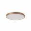 ITALUX PLF-53675-058RC-GD-3KS4K-TRDIMM Vico stropní svítidlo LED D580mm 48W/3900lm 3000+4000K zlatá
