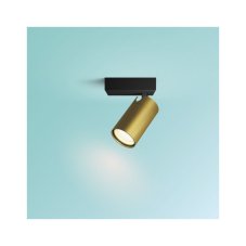 Philips 8720169299177 Idris nástěnné bodové svítidlo/spot 1xGU10 IP44 černá, zlatá, ClickFix