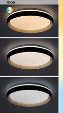 RABALUX 71308 Ladan stropné svietidlo D500mm LED 48W/3000lm 3000-6500K hnedá, zlatá, biela, stmievateľné, diaľkový ovládač