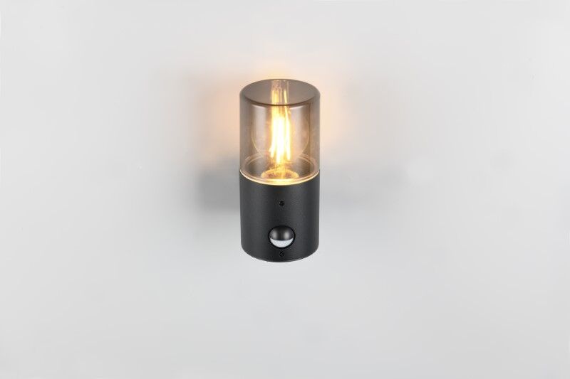 TRIO 222260132 HOOSIC venkovní nástěnné svítidlo se senzorem 1xE27 IP44 černá matná, kouřová