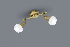 TRIO 803100204 Trumpet Spot E14 2x40W