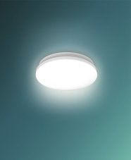 Philips 8720169295988 Acuna stropní svítidlo se senzorem D245mm LED 12W/1350lm 2700K bílá