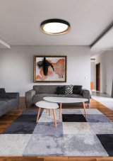 TRIO R62712402 ZETA stropní svítidlo LED D485mm 24W/1920lm 2700-6500K, černá, bílá, stmívatelné, dálkové ovládaní