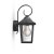 Philips 17236/30/PN Buzzard