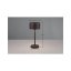 TRIO Reality R59151132 JEFF dotyková stolní lampička SMD LED V300mm 1,5W/120lm 3000K černá matná, nabíjecí baterie