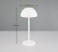 TRIO Reality R54106131 RICARDO vonkajšia dotyková stolná lampa SMD LED V300mm 1,7W/240lm 3000K IP54 biela matná, nabíjateľná batéria, USB-C port