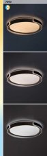 RABALUX 71292 Jindri stropné svietidlo D500mm LED 48W/3000lm 3000-6500K čierna, zlatá, biela, stmievateľné, diaľkový ovládač
