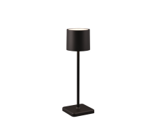 TRIO Reality R54096132 FERNANDEZ venkovní stolní lampička SMD LED V380mm 1,5W/130lm 2700+4000+6000K IP54 černá matná, nabíjecí baterie, USB-C port