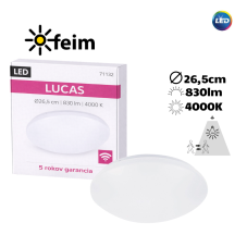 RABALUX 71132 Lucas stropní svítidlo se senzorem LED D265mm 12W/830lm 4000K IP44 bílá