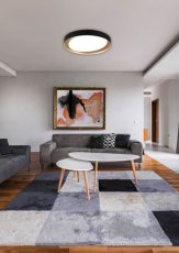 TRIO R62712402 ZETA stropní svítidlo LED D485mm 24W/1920lm 2700-6500K, černá, bílá, stmívatelné, dálkové ovládaní