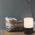 Dotyková stolní lampa TRIO Ary