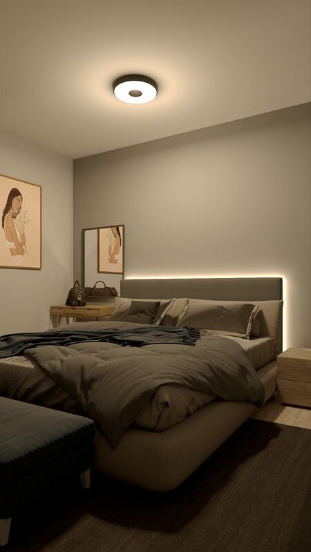 Philips 8720169301290 Coiner stropné svietidlo D389mm LED 24W/2700lm 2700K čierna, SceneSwitch