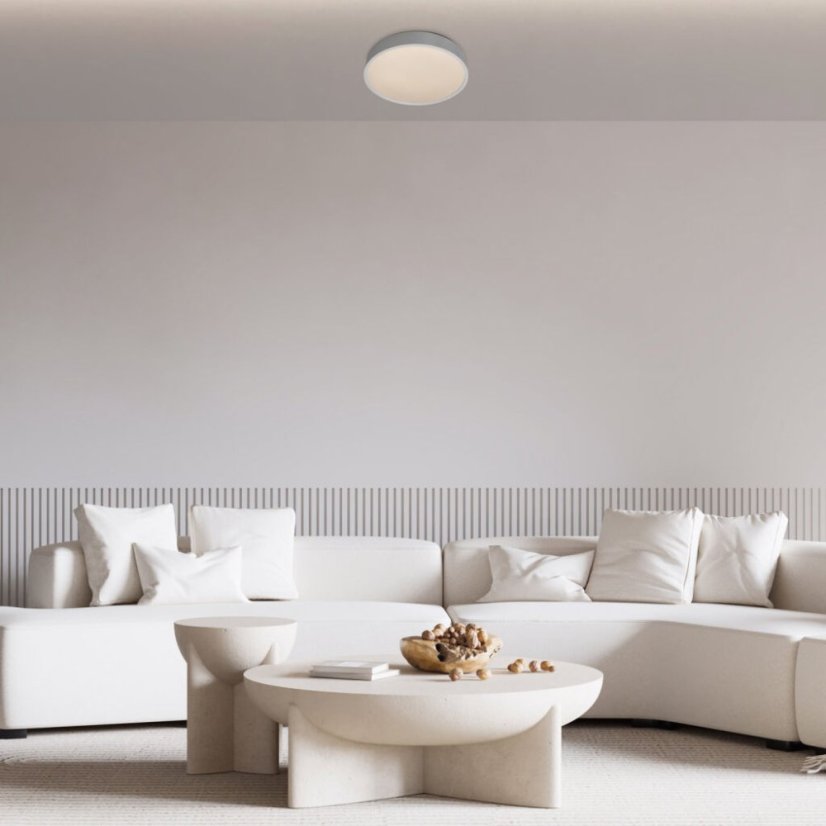 RABALUX 75010 Larcia stropní svítidlo LED D280mm 18W/1060lm 4000K IP44 stříbrná, bílá