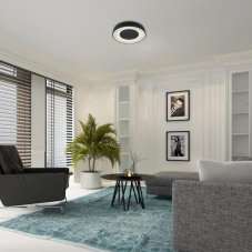 Rabalux 3082 ceil Stropní svítidlo LED D480mm 38W/3200lm 3000-6500K černá, bílá, stmívatelné, dálkové ovládání