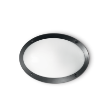 Exteriérové ​​nástěnné svítidlo Ideal lux 096704 Maddie-1 AP1 NERO 1xE27 23W IP66