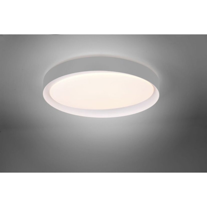 TRIO R62712411 ZETA stropní svítidlo LED D485mm 24W/1920lm 2700-6500K, šedá, bílá, stmívatelné, dálkové ovládaní