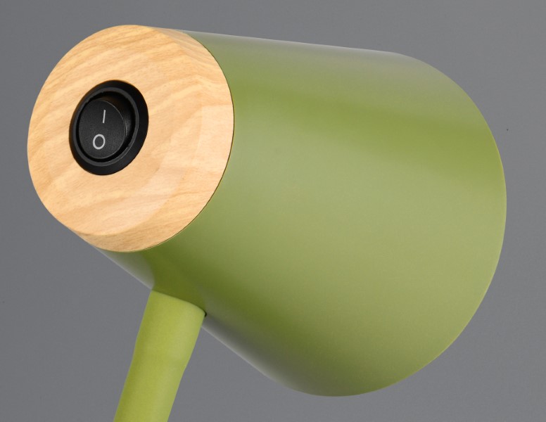 TRIO Reality R45831115 PONGO stojacia lampa v1450mm SMD LED 4,5W/500lm 3000K zelená