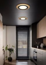 TRIO 641519280 MORGAN stropné svietidlo SMD LED D450mm 42W/5600lm 2700-6500K zlatá, čierna, stmievateľné, diaľkový ovládač