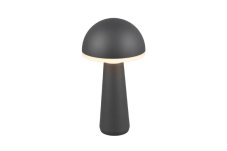TRIO Reality R57716142 FUNGO venkovní stolní lampa SMD LED V310mm 2W/200lm 3000+4000+6500K IP54 antracitová, černá, nabíjecí baterie, USB-C port, nabíjecí stanice
