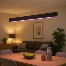 Philips Hue White and color ambiance 8719514343368 Ensis závěsné svítidlo LED 2x39W/2x3000lm 2000-6500K+RGB čierna bluetooth