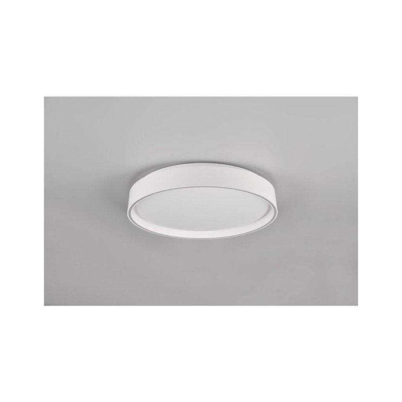 TRIO Reality R64391031 FELIS stropní svítidlo SMD LED D400mm 24W/2500lm 2700-6500K bílá matná, stmívatelné, dálkový ovladač