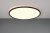 TRIO Reality R64381032 SCOTT stropné svietidlo SMD LED D500mm 30W/3600lm 3000-6500K čierna, biela, stmievateľné, diaľkový ovládač
