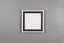TRIO Reality R67213332 CARUS stropné svietidlo SMD LED 330x330mm 16W/2300lm 8,5W/1300lm 3000K čierna matná, biela