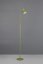 TRIO Reality R45831115 PONGO stojacia lampa v1450mm SMD LED 4,5W/500lm 3000K zelená