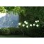 Globo 33971W solární svítidlo dekorativní, řetěz s lampiony D75mm LED 10x0,06W 4000K IP44, bílá